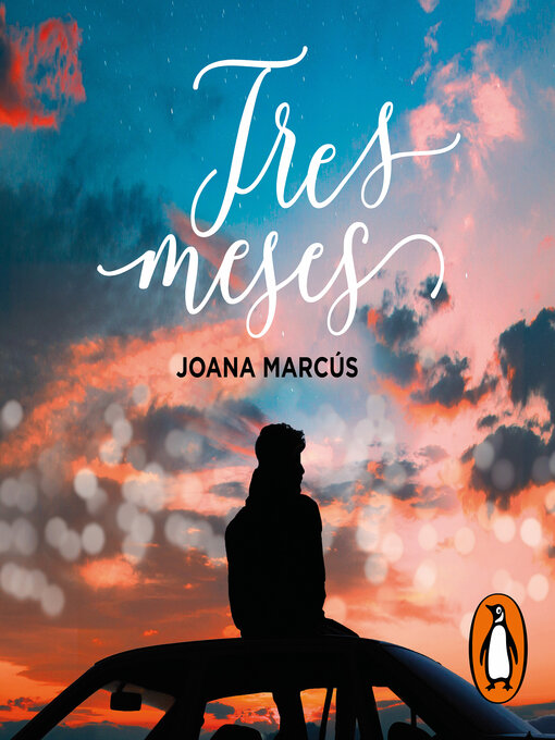Cover image for Tres meses